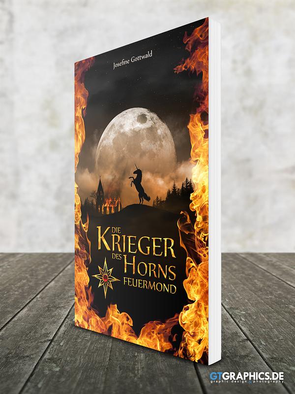 Book Series "Die Krieger des Horns"