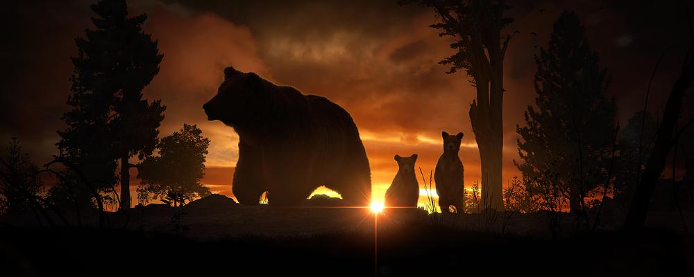 Animals of the Dawn - Bear